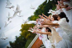 Выпуск голубей на свадьбу