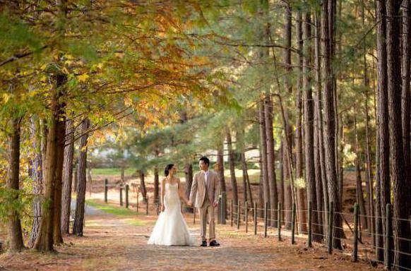 позы для свадебной фотосессии осенью
