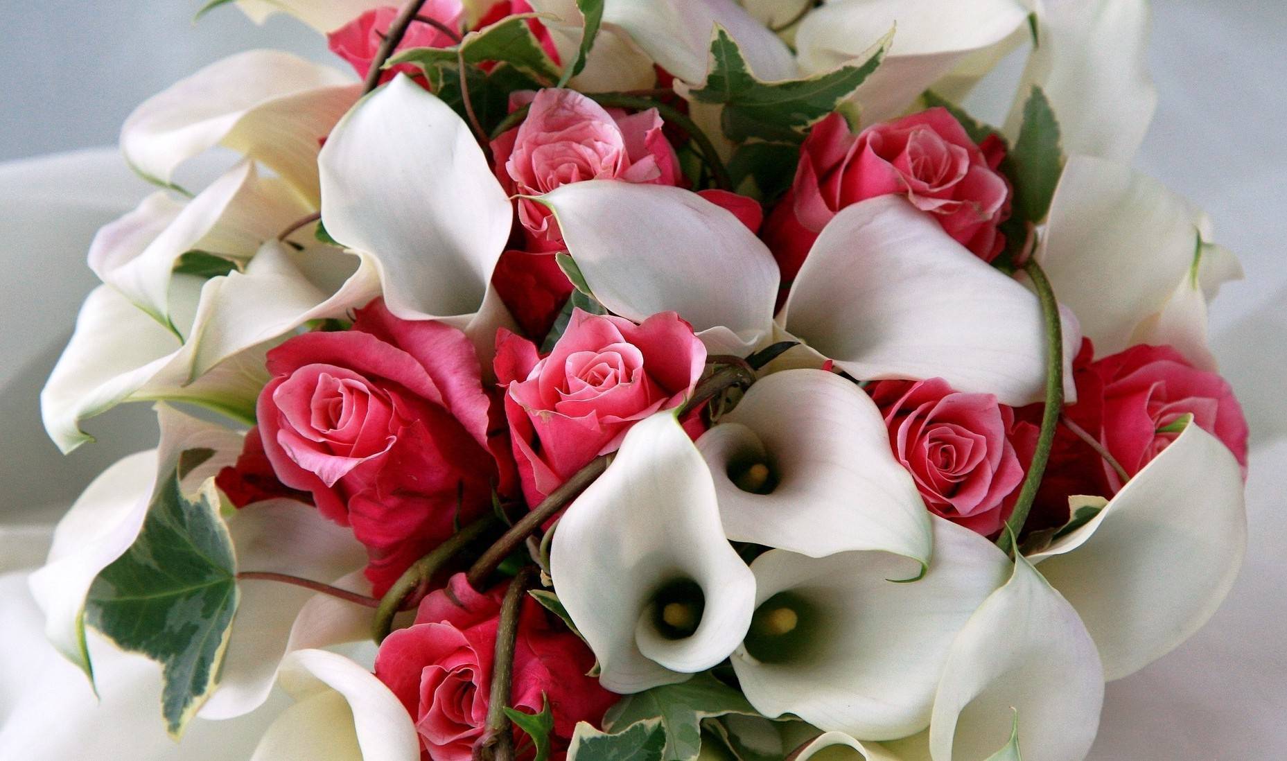 Каллы с розами - очень выгодное сочетание. Фото с сайта 1zoom.ru